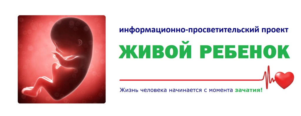О проекте